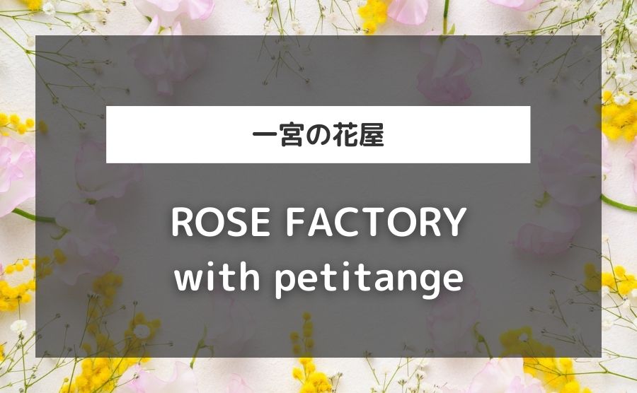 ROSE FACTORY with petitange
