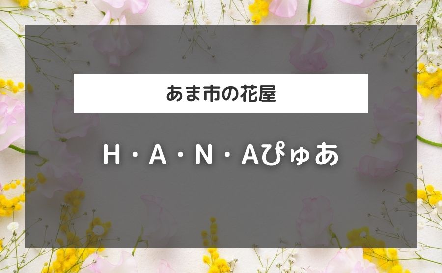 H・A・N・Aぴゅあ