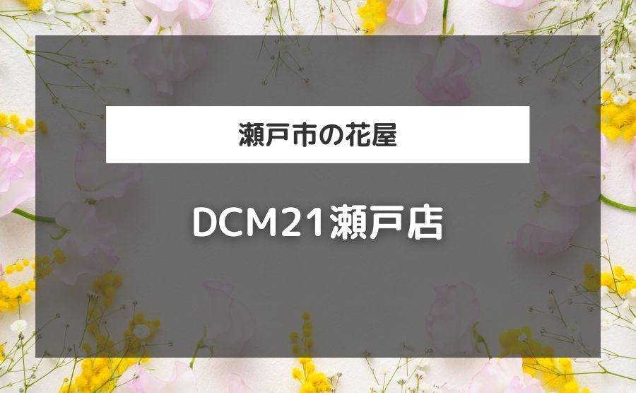 DCM21瀬戸店