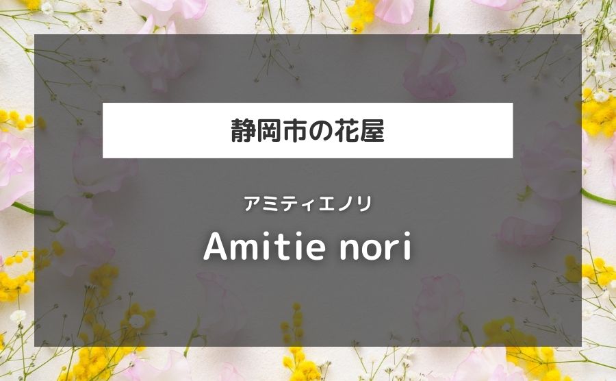 Amitie nori（アミティエノリ）