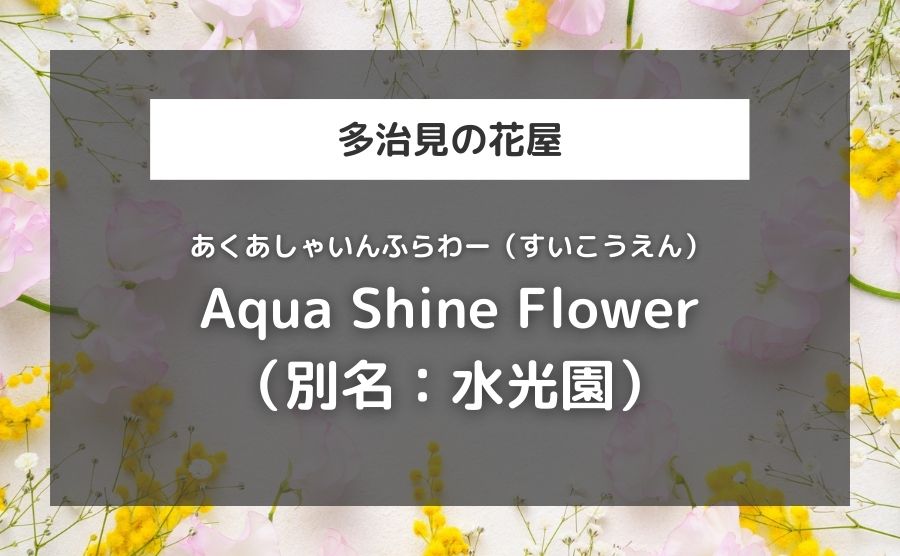 Aqua Shine Flower（別名：水光園）