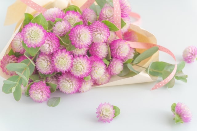 函館の花屋10選！おしゃれで安い人気のおすすめフラワーショップ