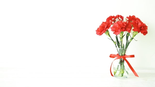 和歌山市の花屋7選！おしゃれで安い人気のおすすめフラワーショップ