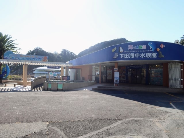 下田海中水族館の8つの見どころ☆お土産やイルカショーの情報も